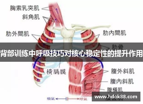 背部训练中呼吸技巧对核心稳定性的提升作用